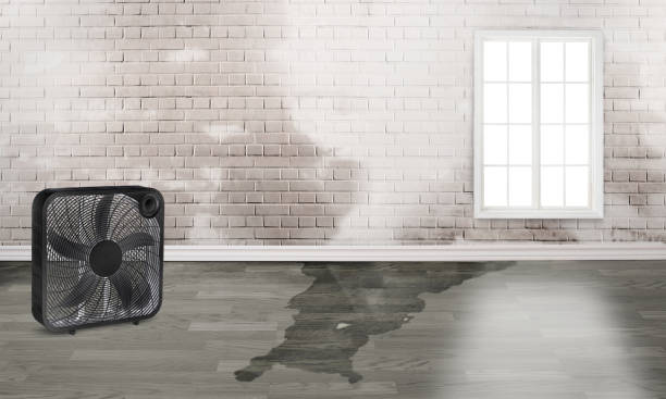 Best Ceiling water damage repair  in Destrehan, LA