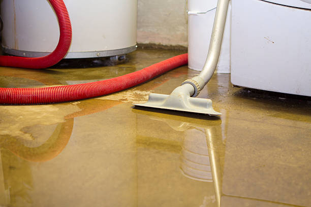 Best Commercial water damage restoration  in Destrehan, LA