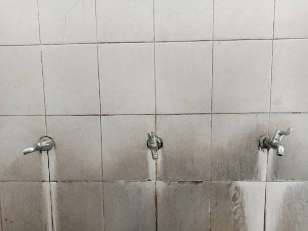  Destrehan, LA Water damage restoration Pros