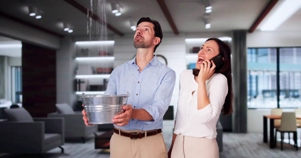 Best Water damage contractors near me  in Destrehan, LA