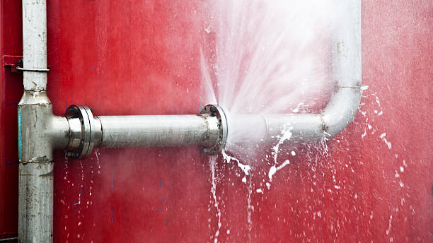 Best Flood damage cleanup  in Destrehan, LA